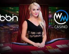 壹号下载app链接2024最新版